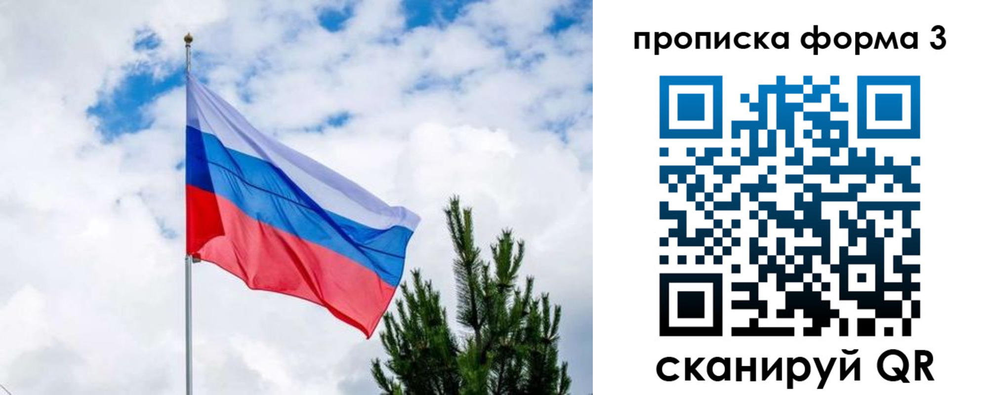 прописка для школы в Кимрах